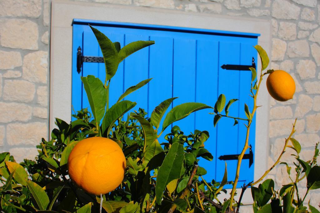 Holiday Home Olea - Sun, Sea, Sport & Comfort Splitska Dış mekan fotoğraf